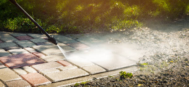 Best Roof Cleaning and Mildew Removal in Prosper, TX