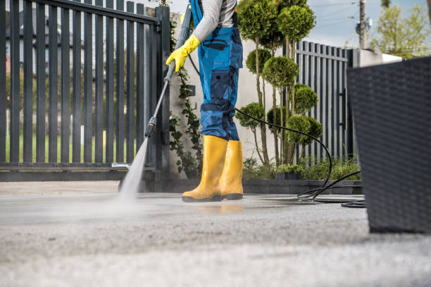 Best Gutter Cleaning and Brightening in Prosper, TX